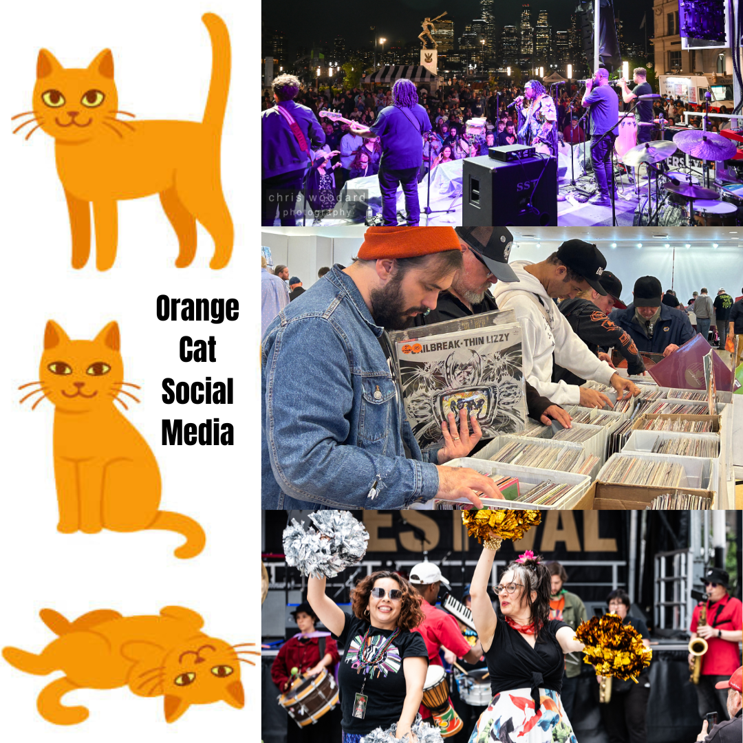 Orange Cat Social Media